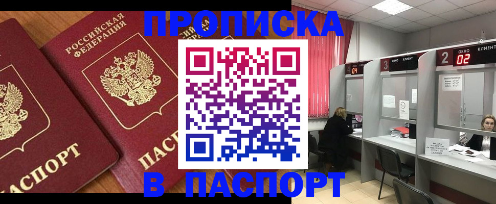 где прописаться в Ельне